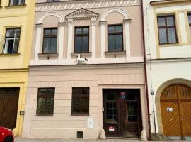 Theatre Festival Hradec Králové - U Bílého koně