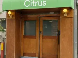 Citrus Stay