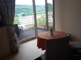 Rheinapartmen8 Dependance 8