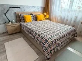 Warmy & Modern 2 Room Apartment, AB Homes - Central, Close to Palas & Iulius Mall - Elevator - Factura