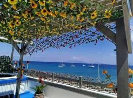 Harbour Lounge rooms