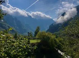 Bujtina Pllumi Theth