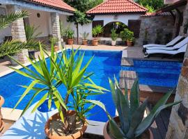 Къщи за гости Стария Орех, guest house in Vidin