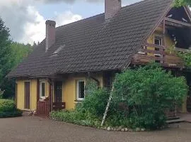 Biały Dzik Uszyszek