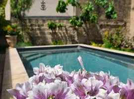 Chambre d'hôtes villa Adoya dans les remparts, piscine, ascenseur