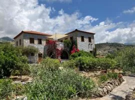 Bright Cozy Home with Terrace, Garden & Sea View