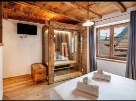 Mountain Dolomiti Apartments-Maison Perrod