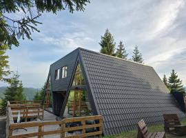 Cabane A-frame CeziAde Tihuta