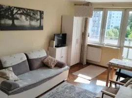 Marea Apartament Przylesie Opera Leśna