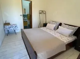 Casa Butnariu