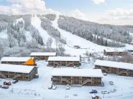 Full apartment with sauna, Kungsberget