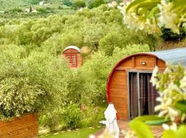 Le Botti Fiorentine