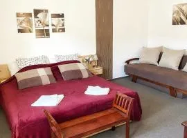 Kala Thermal Lake Wellness Apartment