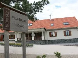 Villa Tolnay Vendégház