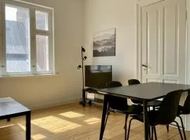 Central and Spacious Apartment for 4