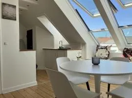 Spacious Apartment for 3 in Frederiksbjerg