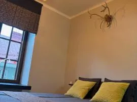 Nordic Design District Area - Compact Apartment Helsinki Center - New Renovated