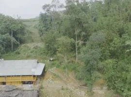 Local Homestay