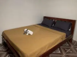 Zia Residency and Villa