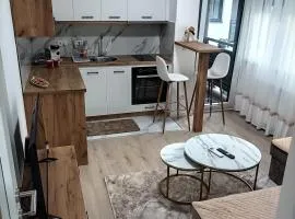 "INKOGNITO Centar" Apartman