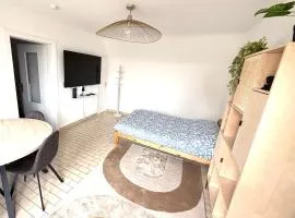 Appartement Strasbourg à 7 min de la gare