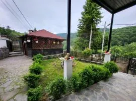 CASA ROXI