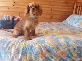 Glamping Pod Thady Killynick County Fermanagh, hotel v destinaci Killyhevlin