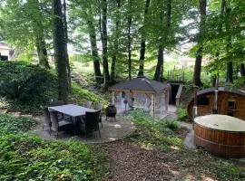 Studio SPA z leśną sauną, jacuzzi , w okolicy Cieszyn