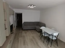 Zlata Bucovina Apartment