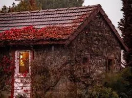 Historic Farm Romance with Miniature Goat Feeding at Hideaway Farmlet