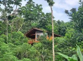 MAYU PATANPI Amazon Lodges