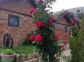 Bungalovi Narandža Ramsko jezero