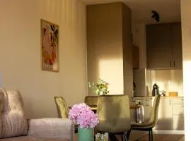 LisaMe Apartman Airport