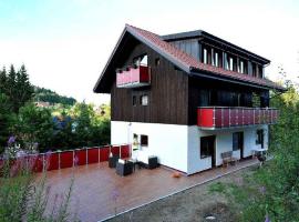 Schlesierhaus: Dachsberg im Schwarzwald şehrinde bir otel