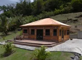 Grenada Countryside Cabin