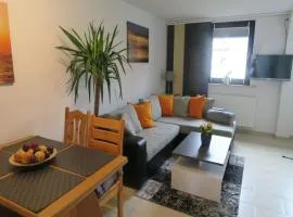 Gemütliche Ferienwohnung mit Garten in Robertsdorf, cleaning included