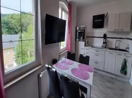 Apartment in Burgk near River Saale, cleaning included