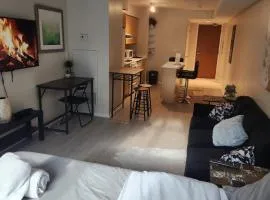 Downtown Toronto Cozy Suite