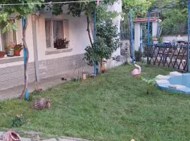 Къща за гости ЕДЕЛВАЙС