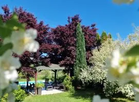 Residence Green Pool & SPA