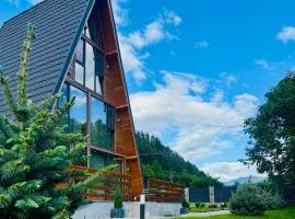 Hidden Cabin