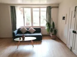 Apartment in Erlach