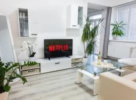 Apartmán v Srdci Náchoda