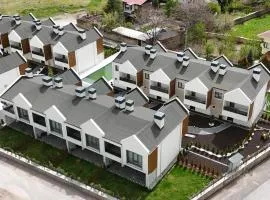 Villa 3917 Erciyes