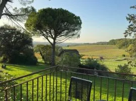 Domaine Les Olivoux