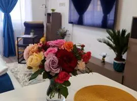 Blue Shades Studio