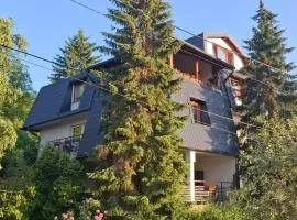 Guesthouse Hill