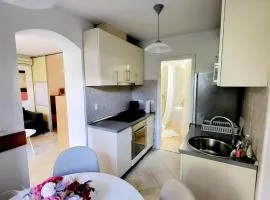 Green Terrace Apartment I