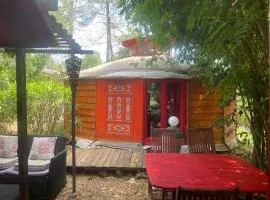 B&B L'Albatros