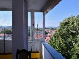DIANANINA the Flat